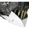 Barracuda Motorspoiler Yamaha FZ1-n